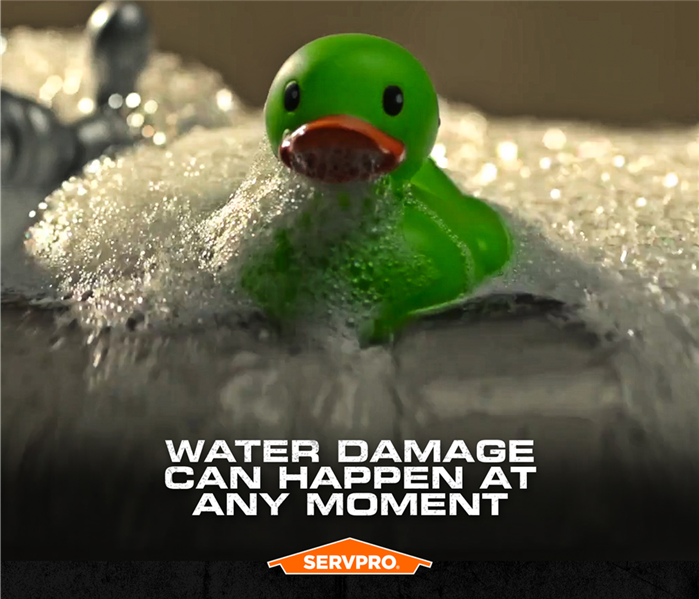 servpro poster rubber duckie water damage